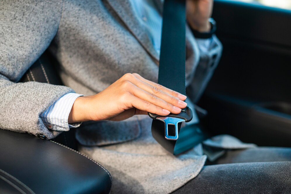 Automobile Holsters