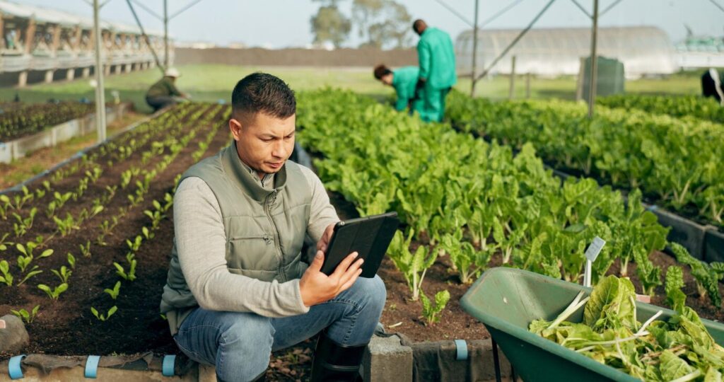 How to Integrate Technology with Traditional Farming