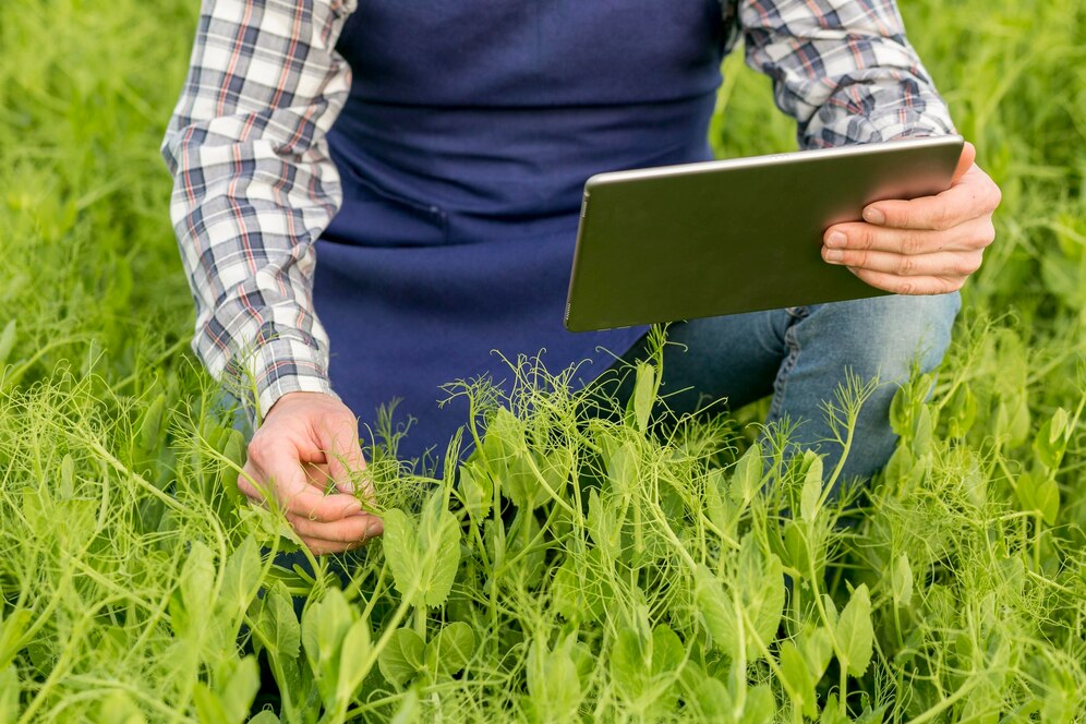 How to Integrate Technology with Traditional Farming