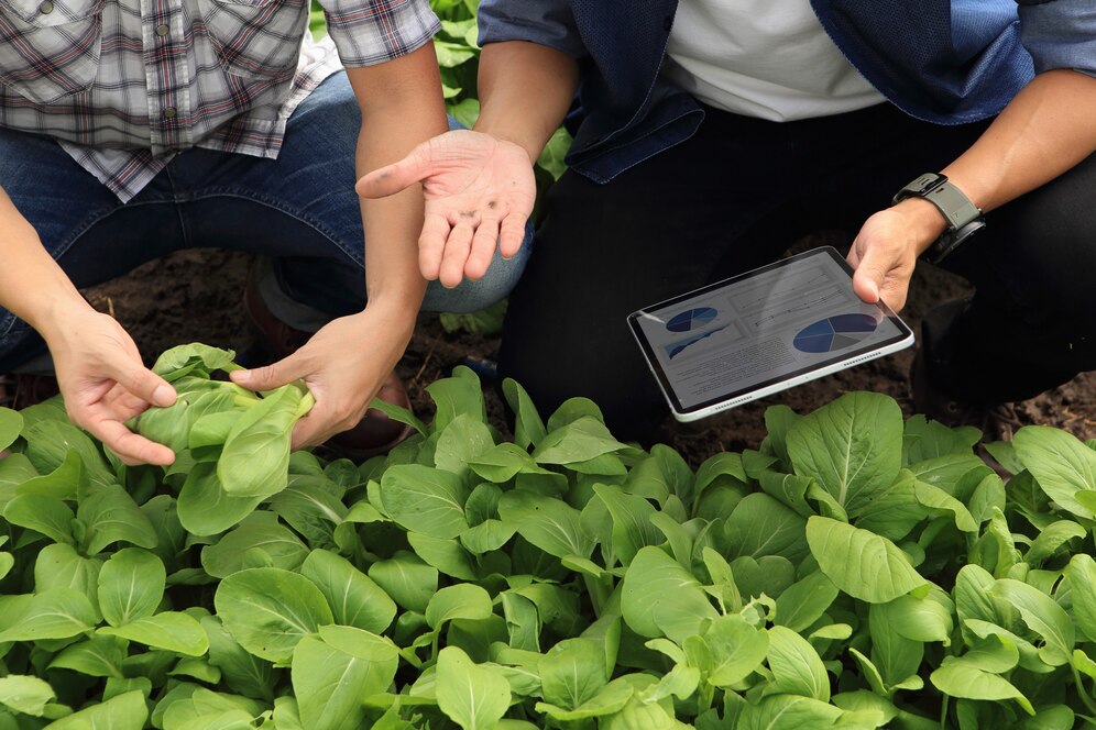 How to Integrate Technology with Traditional Farming