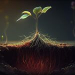 Growth Ideas from Qyndorath