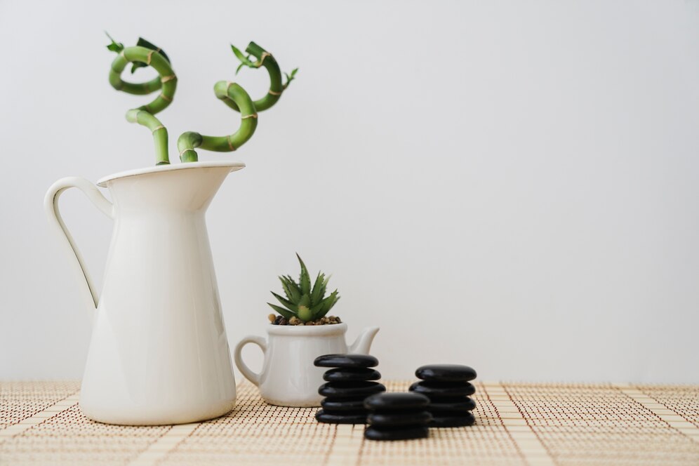 CoolIdeas TheHomeTrotters.com