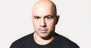 joe rogan net worth