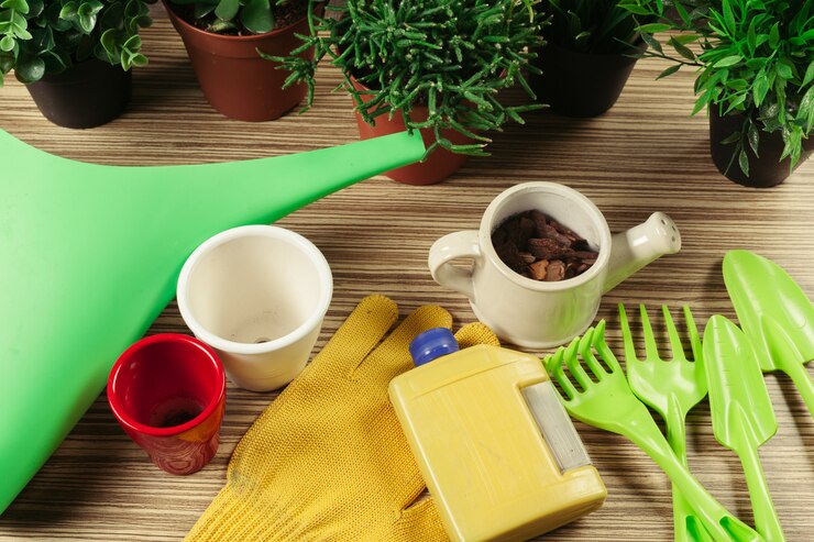How to Start Indoor Gardening for Beginners