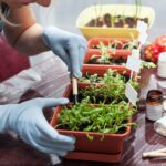 How to Start Indoor Gardening for Beginners